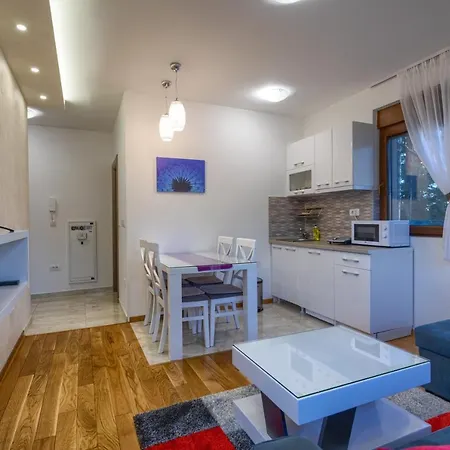 Gavrilov 3 شقة زلاتيبور